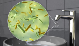 water quality