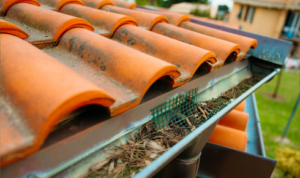 roof runoff