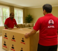 Best Packers and Movers in Delhi